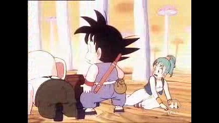 Dragon Ball 010