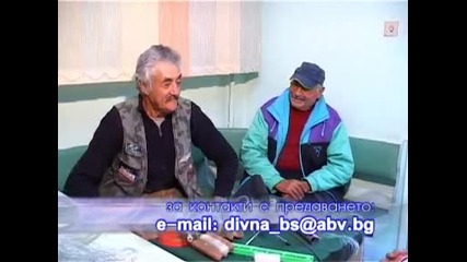 Divna ribari 