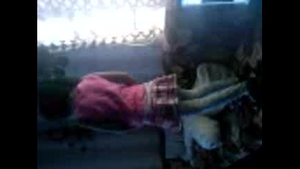 Video0001