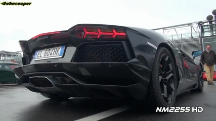 Lamborghini Aventador реве