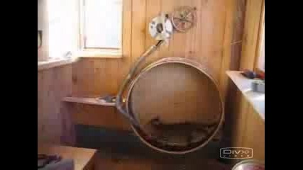 Giant Hamster Wheel For Cat - Unoriginal.c