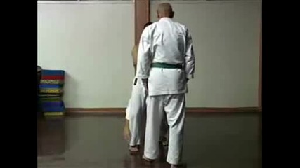 Goju Ryu karate - The Sanchin kata