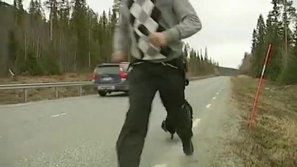 Шведски репортер преследван на шосето от ядосана птица Глухар