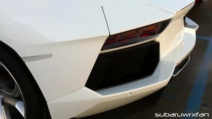 Ексклузивни кадри !!! Lamborghini Aventador - мърка като котенце