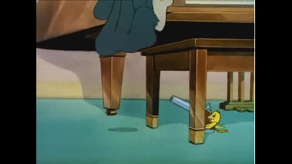 Tom and Jerry - Kitty Foiled 