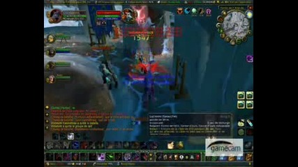 Wow:druid Feral Pvp