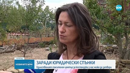 Кризисният център за костенурки край Несебър може да затвори