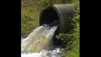 Save The Nature