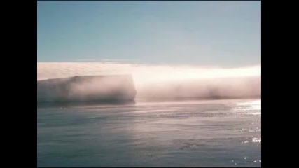 Fluke - Reeferendrum