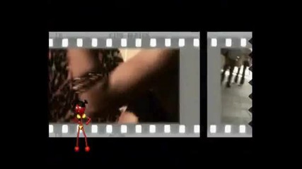 La Bomba - King Africa