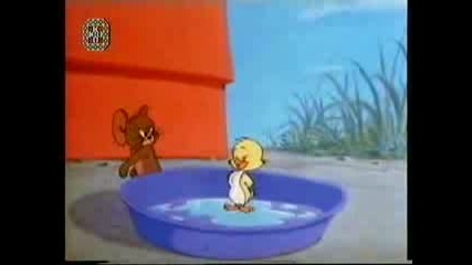 Tom And Jerry - Just Ducky