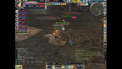 Rohan Online Lvl 99 Ranger Pvp 
