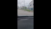 Бездомни кучета притесняват шофьор в Горна Оряховица