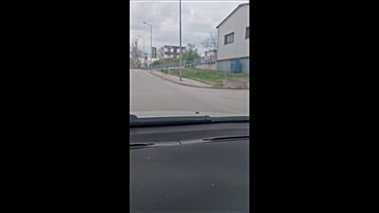 Бездомни кучета притесняват шофьор в Горна Оряховица