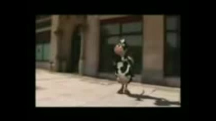 Luda Krava :d