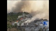 Пожари в Гърция са унищожили половината реколта от мастикова смола