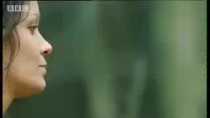лемур защитава бебета си - Bbc Wildlife