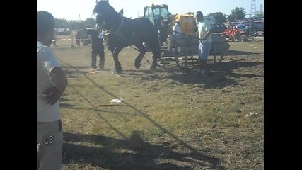 kone Kneja 01.09.2012