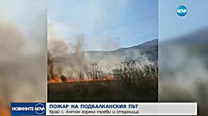 Пламнаха храсти и стърнища в район от Подбалканския път