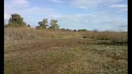 yosko pista selo 