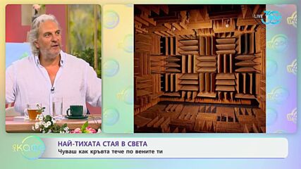 Най-тихата стая в света: Чуваш как кръвта тече по вените ти - „На кафе“ (18.07.2024)