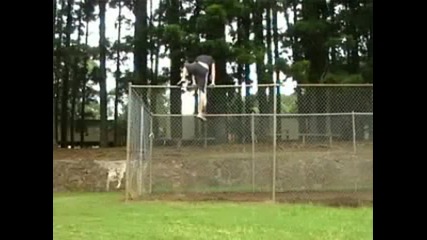 Mace And Declan Best Jump 
