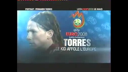 fernando torres 