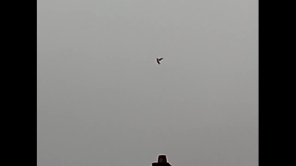 Vid_20140304_134219~1