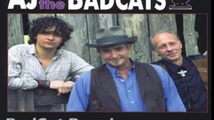 Aj The Badcats - Badcat Boogie