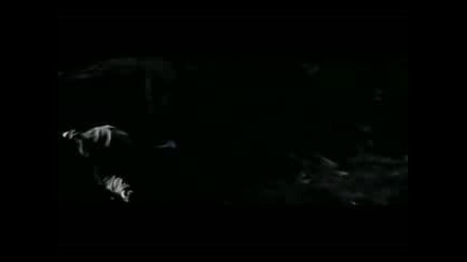 New Moon - Bad Romance - Lady Gaga 