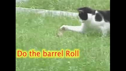 Very Funny Animated Gifs Part 58