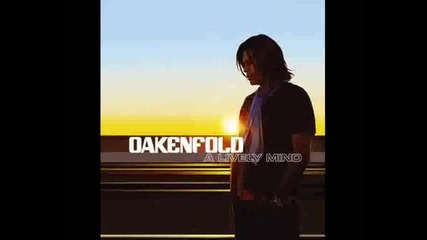Oakenfold feat. Onerepublic - Not over (robert Vadneys 3am Goodbye Remix) 