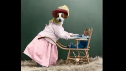 Смешни Кучета