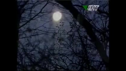 Ramiza Milunkic - Dani dugi svaki ko godina By Asterixu