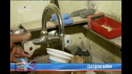 Съседски войни, 11 септември 2010, Pro Bg Новини
