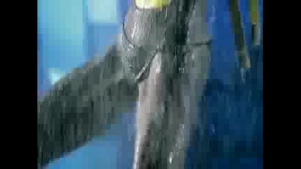 George Michael Fast Love Vbox7 