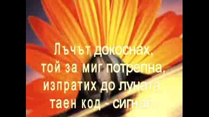 Лунен Лъч 