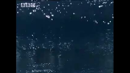 Bbc Nature Mega Tsunami - Alaskan Super Wave - Amazing Survival 