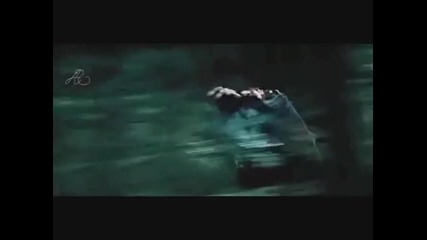 Edward & Bella - Run