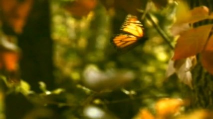 Joshua Bell A Broken Heart