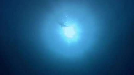 Красив Океан
