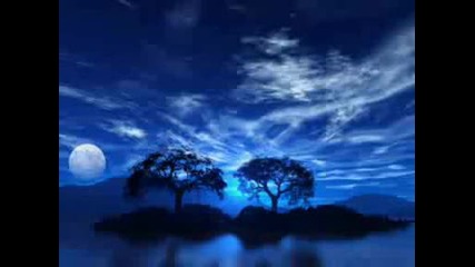 Scott Davis - Until It Sleeps