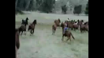You Cant Take Flicka!