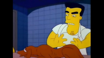 The Simpsons s03 e19