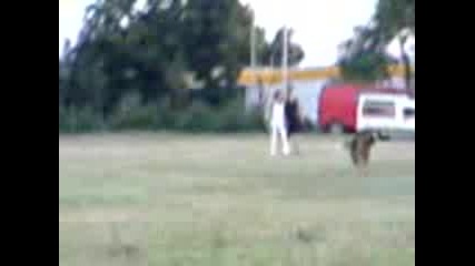 Mov00001 (1)