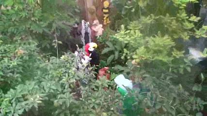 Най - лудия - Remi Gaillard - Тарзан 