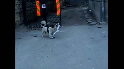 ku4e si igrae sys sytien