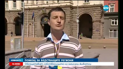 Дават 600 000 лева на животновъдите в пострадалите от бедствието райони