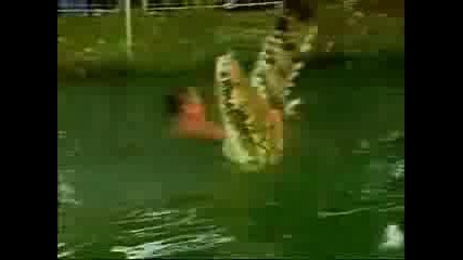 Крокодил Приятел