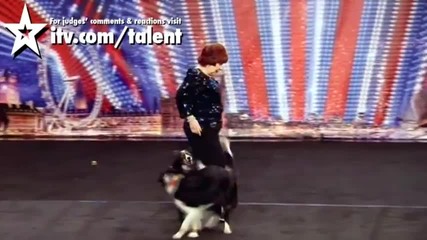 Donelda Guy и нейните кучета - Britains Got Talent 2011